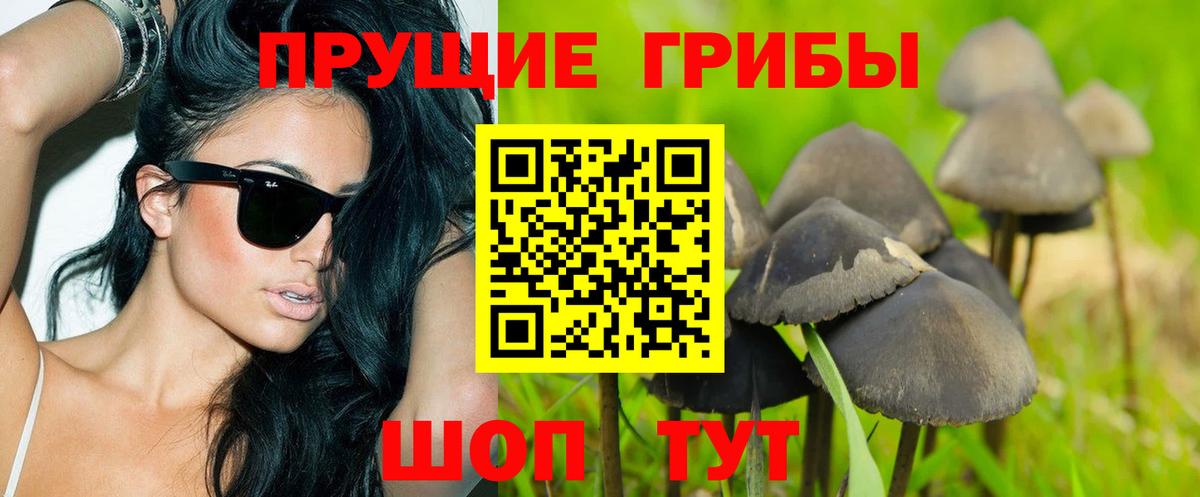 Галлюциногенные грибы Magic Shrooms  дарнет шоп  Апрелевка  Вход с VPN 